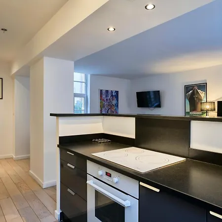 Spacious One Bedroom Ideally Located Apartment Lille