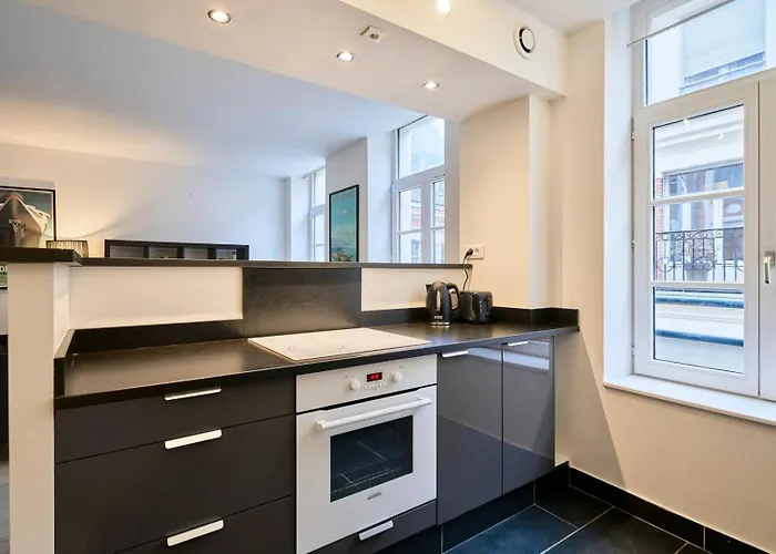 Spacious One Bedroom Ideally Located Lille