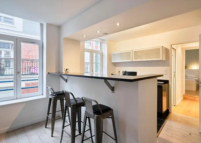 Spacious One Bedroom Ideally Located * Lille