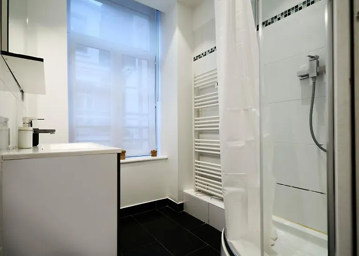 Spacious One Bedroom Ideally Located Lille